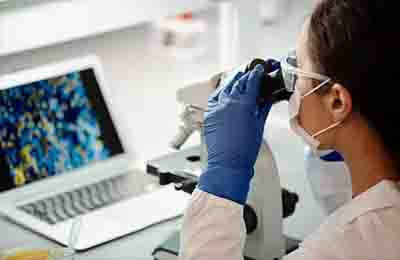 it行業(yè)半年工作總結(jié)