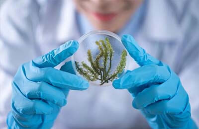 幼兒園環(huán)保論文