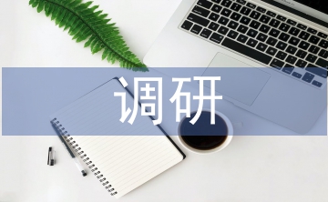 城市環(huán)境調(diào)研