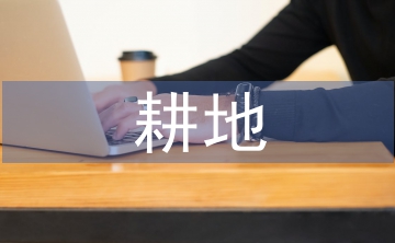 耕地利用現(xiàn)狀分析