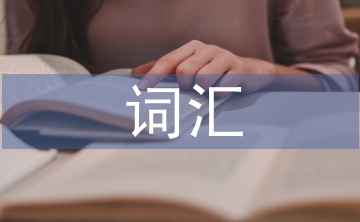 詞匯在英語學(xué)習(xí)中的重要性