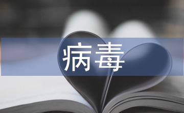 基于防火墻和病毒查殺的網絡安全機制