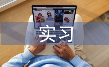 審計局實習工作計劃