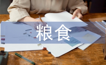 愛惜糧食的重要性