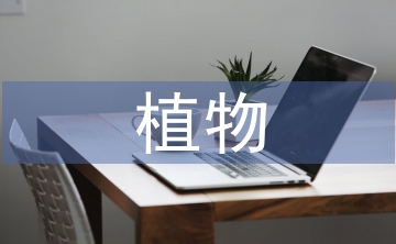 關(guān)于植物的現(xiàn)代詩