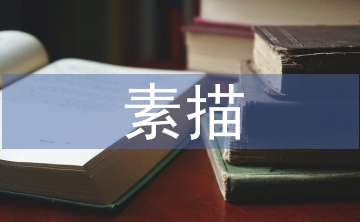 高職院校素描教學(xué)改革實(shí)踐3篇