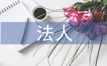 法人年度報告書