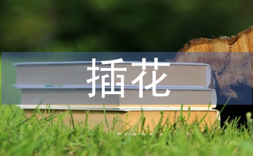 插花自我總結(jié)