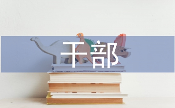 干部年度考核個人總結(jié)