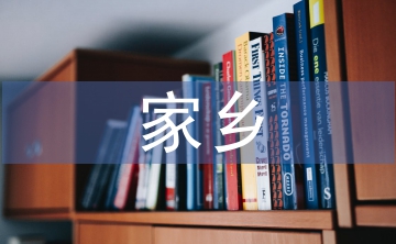 家鄉(xiāng)社會(huì)調(diào)查報(bào)告