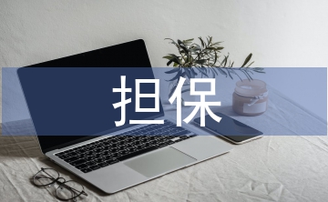 擔(dān)保申報(bào)材料