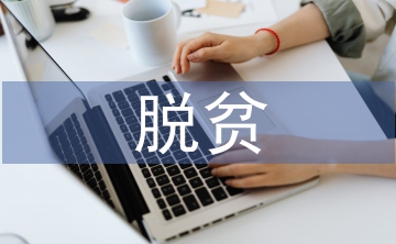 現(xiàn)階段脫貧標準