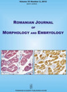 Romanian Journal Of Morphology And Embryology