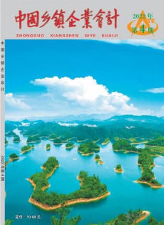 中國鄉(xiāng)鎮(zhèn)企業(yè)會計雜志