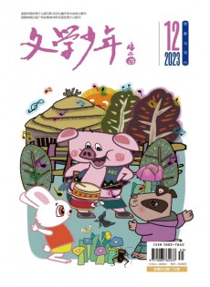 文學(xué)少年雜志