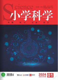 小學(xué)科學(xué)