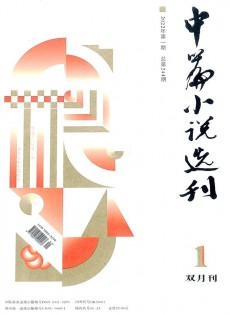 中篇小說(shuō)選刊雜志