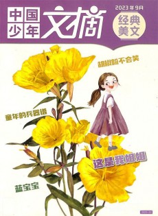 中國少年文摘