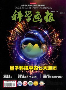 科學畫報雜志