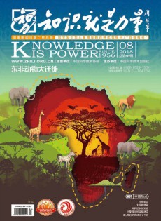 知識就是力量雜志