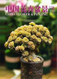 中國(guó)花卉盆景