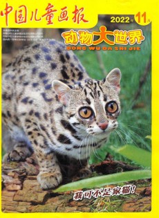 中國兒童畫報雜志