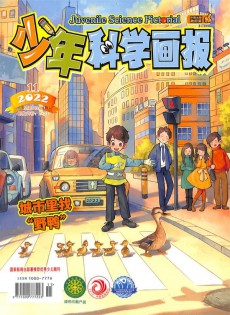 少年科學(xué)畫(huà)報(bào)