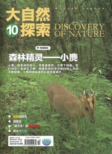 大自然探索雜志