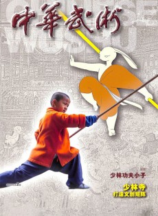 中華武術(shù)雜志