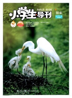 小學(xué)生導(dǎo)刊·中年級雜志