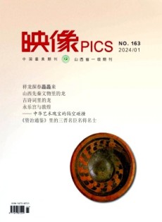 映像雜志