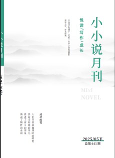 小小說(shuō)月刊雜志